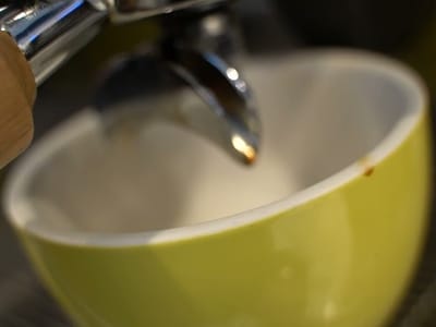 Daily Spark Coffee Roasters