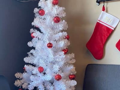 Daily Spark Coffee Roasters