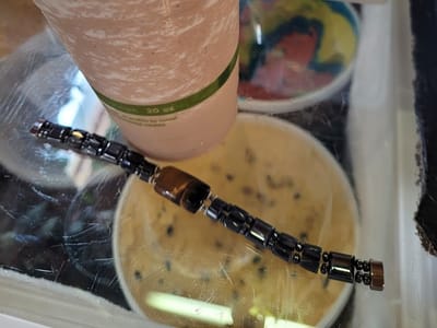 Dancing Crane Coffee House