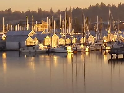 Dancing Goats Espresso Bar