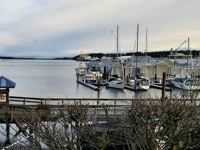 Dancing Goats Espresso Bar