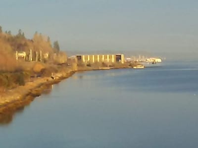 Dancing Goats Espresso Bar