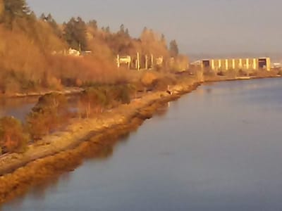 Dancing Goats Espresso Bar