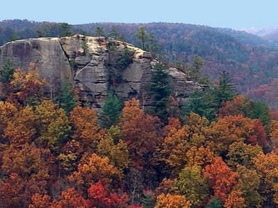 Daniel Boone Coffee Shop