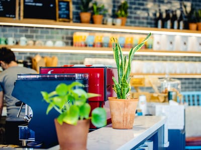 De Fer Coffee & Tea @ The Riviera