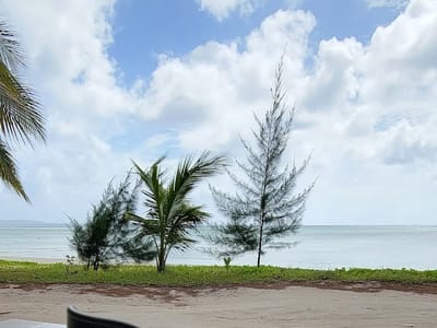 DECAFREE SAIPAN CAFE