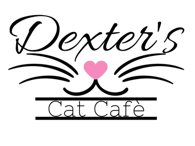 Dexter's Cat Cafe