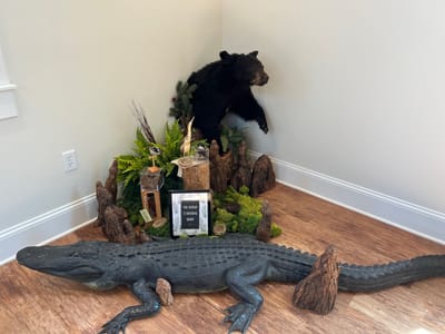 Discover Darien-McIntosh County Visitor Center