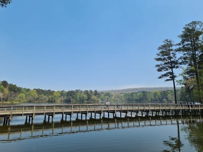 Discovery Cafe at Callaway Gardens