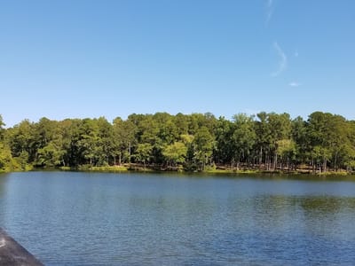 Discovery Cafe at Callaway Gardens
