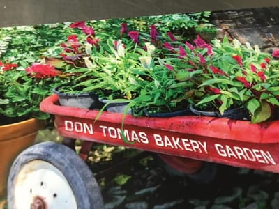 Don Tomas Bakery and breakfast