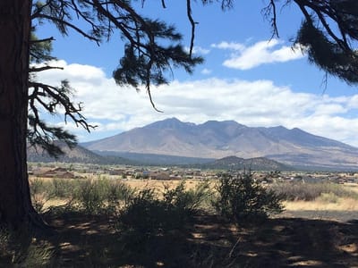 Doney Coffee - not a coffee shop