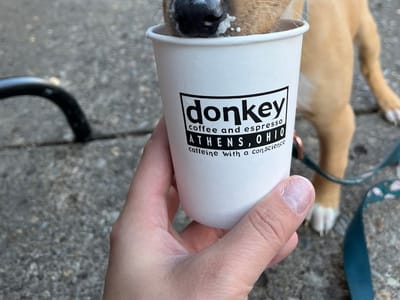 Donkey Coffee