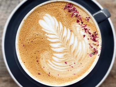 Dos Gatos Coffee Bar