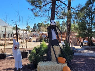 Dottie's Garden Coffee Shoppe