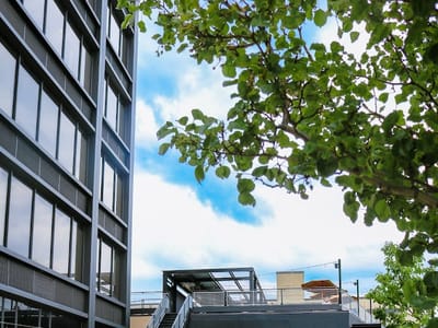 Downtown by Beer Tree Brew