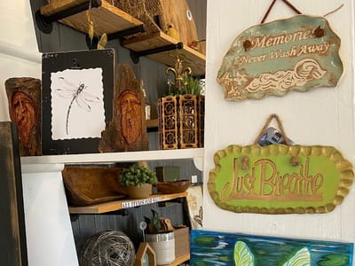 Dragonfly In The Bay