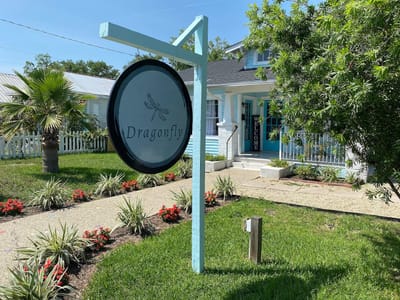 Dragonfly In The Bay