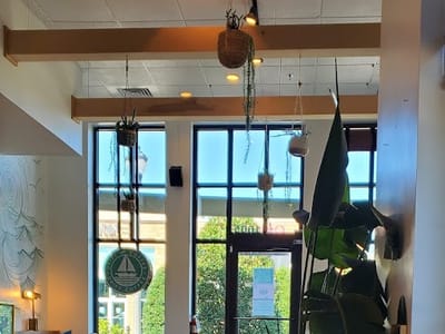 Drift Coffee Shop & Kitchen Mayfaire