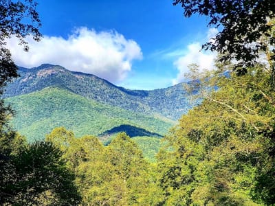 DT's Blue Ridge Java