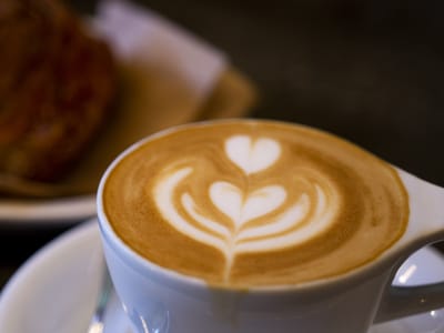 Due South Coffee Roasters