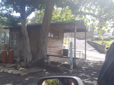 El Cuajo de Fifi_Aguada