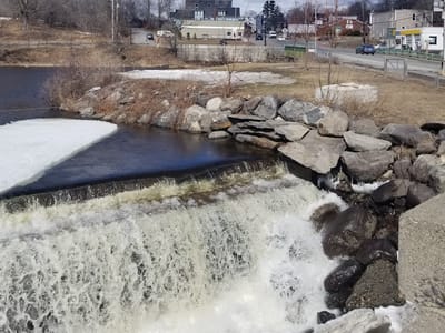 Elaine's Cafe & Bakery