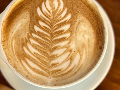 Electric Fountain Brewing Coffee Bar + Roastery