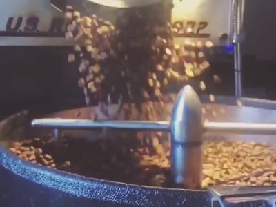 Electric Fountain Brewing Coffee Bar + Roastery