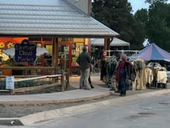 Elephant Cloud Market The Cloud Station