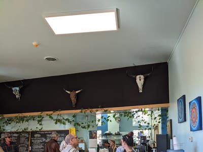 Elephant Cloud Market The Cloud Station