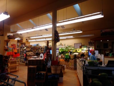 Elephant Cloud Market The Cloud Station