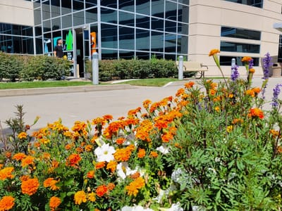 Elevated Grounds Coffee and Espresso