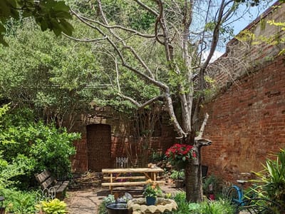 Elevated Grounds Coffee Shop