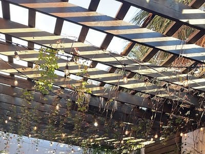 Elevation Coffee Heights