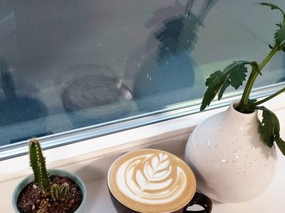 Elevation Coffee Roasters