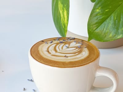 Elevation Coffee Roasters