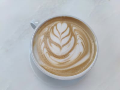 Elevation Coffee Roasters