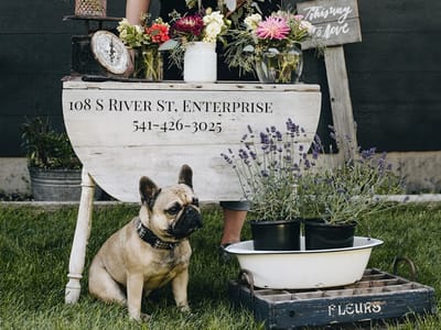 Enterprise Flower Shop