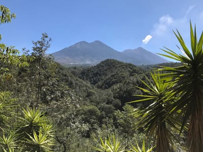 Esperanza Coffee Collective