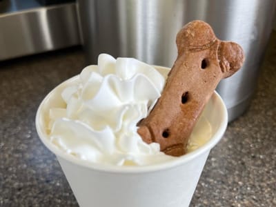 Espresso Express Eugene