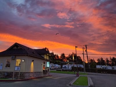 Espresso Mill & Bakery