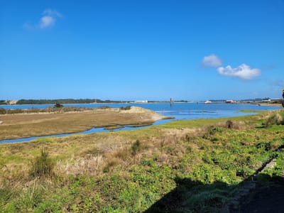 Espresso Mill & Bakery