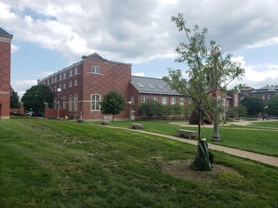 Espresso Royale Grainger Engineering Library