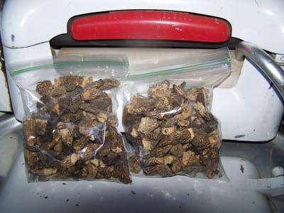 Espresso Wagon Coffee Company