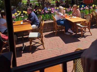 Esselon Café and Coffee Roasting