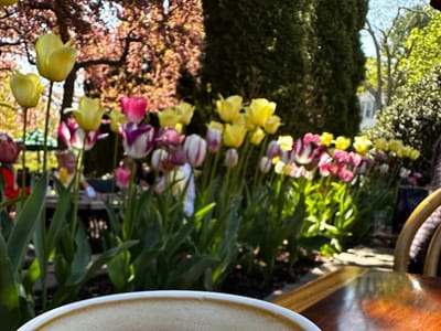 Esselon Café and Coffee Roasting