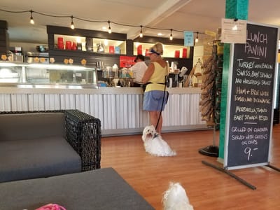 Essex Ice Cream Cafe