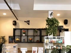 Esthetic Bean coffee shop ️