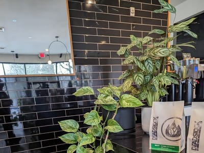 Euko Coffee & Company